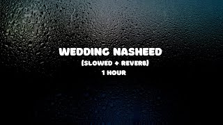 Wedding Nasheed 1 Hour  Muhammad Al Muqit  Slowed  Reverb [upl. by Yvaht]