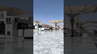 sonar madina amar praner madina Islamic video islamicvideo allah shorts🤲🤲🤲🤲🤲 [upl. by Phyllis]