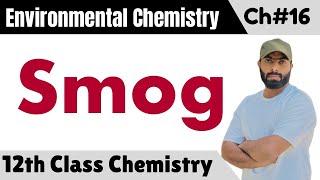 L6 Smog  formation types and effects of smog  chemistry class 12 chapter 16 [upl. by Furlong]