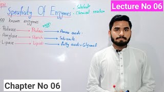 Specificity Of Enzymes Class 9 In Urdu Hindi By HaiderAli  Chapter No 06  Enzymes  Lecture No 06 [upl. by Damour]