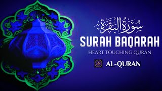 Surah Al Baqarah full quick recitation by Sheikh Mishary Al Afasy سورة البقرة كاملة 2 October 2024 [upl. by Sivart]