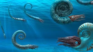 Ammonites The Fossil Fish That Ruled The Oceans 2024 [upl. by Salokcin116]