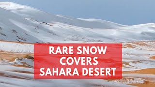 Rare bout of snow blankets Sahara Desert sand dunes in Algeria [upl. by Vullo341]