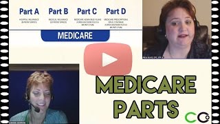 Medicare Billing Guidelines  Medicare Parts A B C and D [upl. by Etnasa]