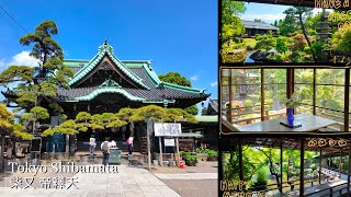 Tokyo Vlog🍡 Traditional Japanese Culture Zen Garden Taishakuten Daikyoji Temple Shibamata 4K Tour [upl. by Kelwin]