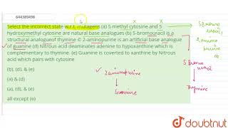 Select the incorrect state wrt mutagens a 5 methyl cytosine and 5 hydroxymethyl cytosine ar [upl. by Eelydnarb]