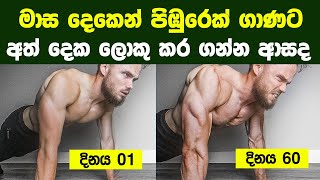 මාස දෙකෙන් පිඹුරෙක් ගාණට අත් දෙක ලොකු කරගන්න හැටි  Bigger Arms in 8 Weeks [upl. by Nylak117]