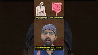 What is Gastrointestinal Tract What are its Parts gitract digestivesystem ytshorts doctor [upl. by Nimra824]