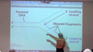 DNA Replication Recombination Repair II [upl. by Zadoc]