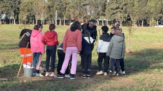 Les écoliers Carcassonnais plantent 100 arbres fruitiers [upl. by Musa]