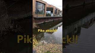 Pike DESTROYS my lure pike fishing snoekvissen [upl. by Ely]