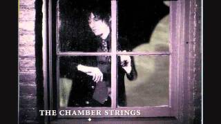 The Chamber Strings  Sleepy Night [upl. by Peppi]