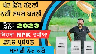 ਨਿਸਾਰੇ ਵੇਲੇ ਝੋਨੇ ਕਿਹੜਾ ਸਪਰੇ ਮਸਲੇ ਹੱਲ ਕਰੂ Npk Spray on Paddy crop [upl. by Rozalin293]