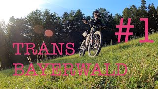 Bikepacking Tour Trans Bayerwald 1 [upl. by Nlycaj]