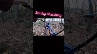 Mountain Biking in woods mtb mtbbikes [upl. by Springer]