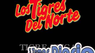 El EjemploLos Tigres del Norte Album El Ejemplo Año 1995 [upl. by Wayolle]