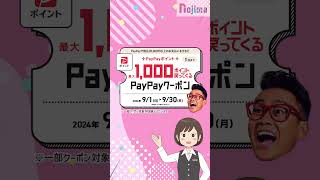 ノジマで使えるPayPayクーポン配布中！ [upl. by Rolyat]