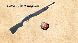 Hatsan Escort Magnum 12g Semi Auto Shotgun First Impressions [upl. by Lehcer]