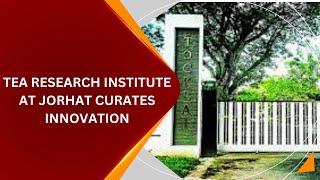 TEA RESEARCH INSTITUTE AT JORHAT CURATES INNOVATION [upl. by Ebenezer932]