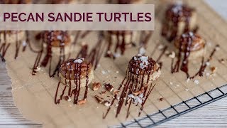 Pecan Sandie Turtles VeganHealthy [upl. by Peony594]