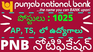 PNB Job Vacancy 2024 I Punjab National Bank Notification 2024 I PNB SO Recruitment I PNB SO Vacancy [upl. by Ahseid795]