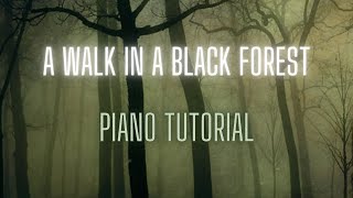 A Walk In The Black Forest Horst Jankowski Piano Tutorial with backing track [upl. by Anatniuq]