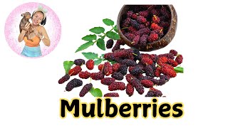 Health Benefits of Mulberries [upl. by Ammon]