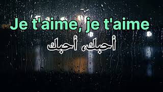 Lara Fabian Je taime لارا فابيان أحبك [upl. by Ierdna]