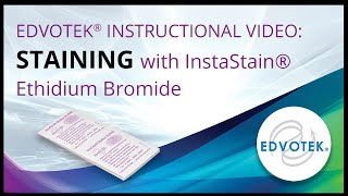 InstaStain® Ethidium Bromide  Edvotek Video Tutorial [upl. by Nnaylrebmik]