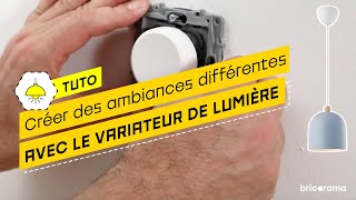 Comment installer un variateur de lumière   Bricorama [upl. by Wyatan]