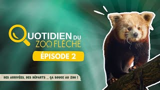 Des arrivées des départs ça bouge au Zoo  Épisode 2 [upl. by Herta744]