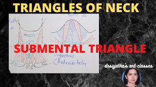 108Triangles of neck  Anatomy  anterior triangle neck Submental triangle anatomylectures [upl. by Malinda25]