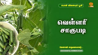 வெள்ளரி சாகுபடி  Successful Farmer [upl. by Juieta]