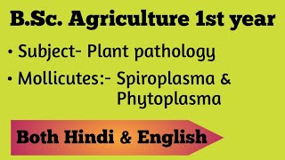 Mollicutes  Plant pathology  BSc Ag 1st year [upl. by Herson]