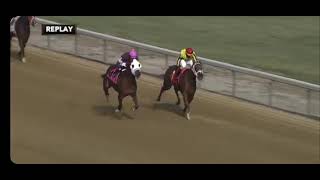 Fixed horse race at Mahoning Valley Race Course Watch the 1 😳 [upl. by Luht]