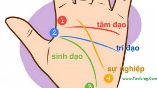 Hướng Dẫn Xem Bói 4 Đường Chỉ Tay Cơ Bản Nói Lên Toàn Bộ Vận Mệnh Cuộc Đời [upl. by Nennerb]