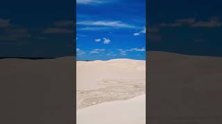 Lancelin sand dunes 🇦🇺 westernaustralia australia explore travel shorts [upl. by Ayota]