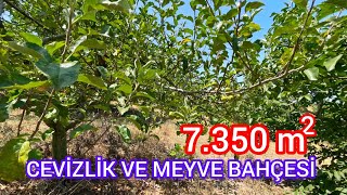 7350 MÂ² YETÄ°ÅžKÅžÄ°N CEVÄ°Z VE Ã‡OK Ã‡EÅžÄ°T MEYVEDEN OLUÅžAN MEYVE BAHÃ‡ESÄ° MANYAS ÅžEVKETÄ°YE [upl. by Jennette]