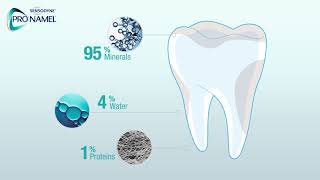 What Is Tooth Enamel  Pronamel® Toothpaste [upl. by Nairdna713]