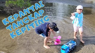 Berburu kepiting kecil di pantai [upl. by Ynad]