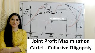 Joint Profit Maximisation Cartel  Collusive Oligopoly [upl. by Longawa570]