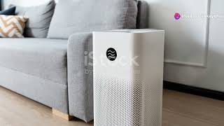 Top 3 Best Selling Air Purifiers Over 100 2024 on Amazon [upl. by Aivital560]