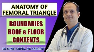 FEMORAL TRIANGLE  ANATOMY [upl. by Richel987]