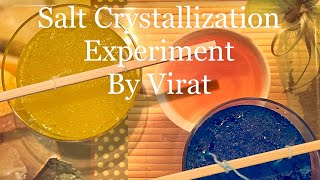 Salt Crystallization Experiment [upl. by Nevaj]