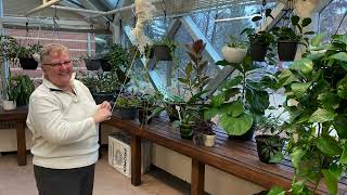 Welcome to Sherbrooke Community Centre  Part Two  Spend Some Time in The Greenhouse [upl. by Dalton]