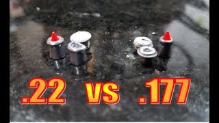 177 or 22 Pellet Airgun Which Caliber is BEST [upl. by Perot412]