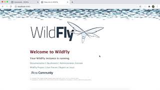 Download and setup Wildfly server [upl. by Aneeh]