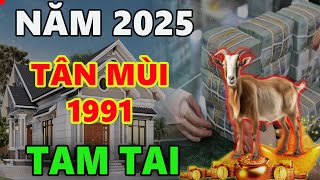 Tử vi tuổi TÂN MÙI 1991 năm ất tỵ 2025 VƯỢT HẠN TAM TAI CÁN ĐÍCH THÀNH CÔNG [upl. by Knudson]