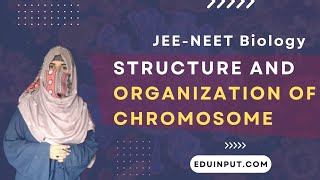 Structure and Organization of Chromosomes  Division of chromosomes  Sex determination [upl. by Hanad907]