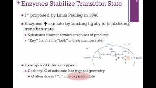 039Transition State Stabilization [upl. by Attemaj]